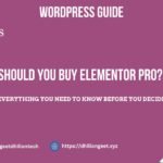 Should You Buy Elementor Pro